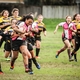 Quins Win NorCal Tourney Titles