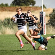 NAI7s 8.2017-120.jpg